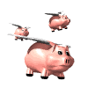 Flying Pig QRP